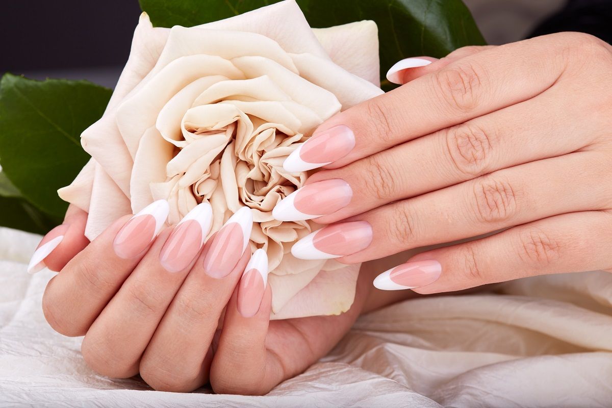 Hands,With,Long,Artificial,French,Manicured,Nails,Holding,A,Beige