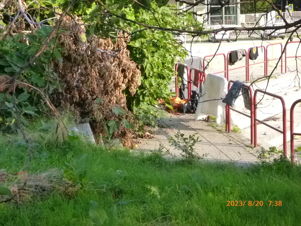 gyom, gaz, fotópályázat