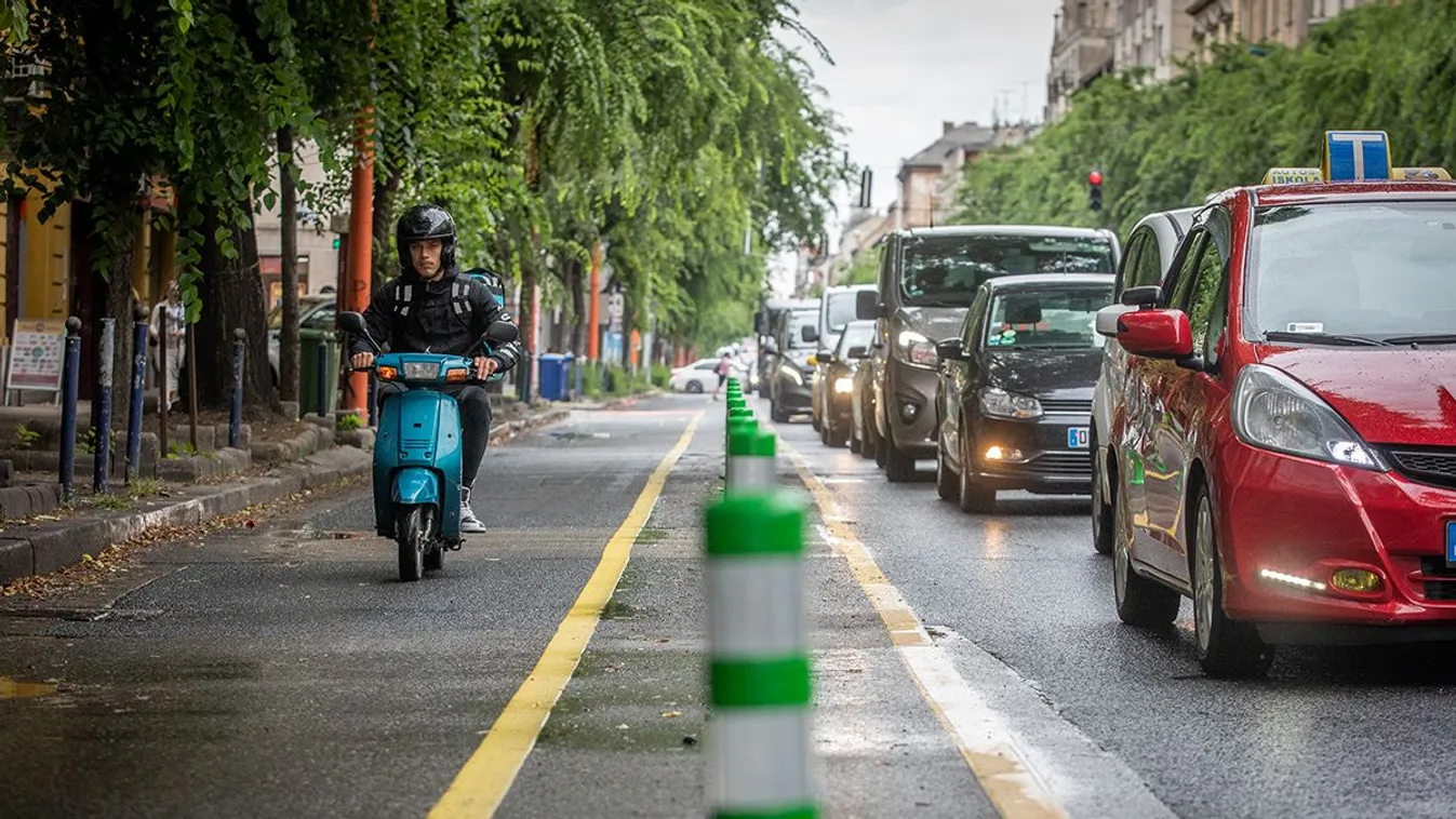 Még Csintalan is nekiment Karácsonynak
