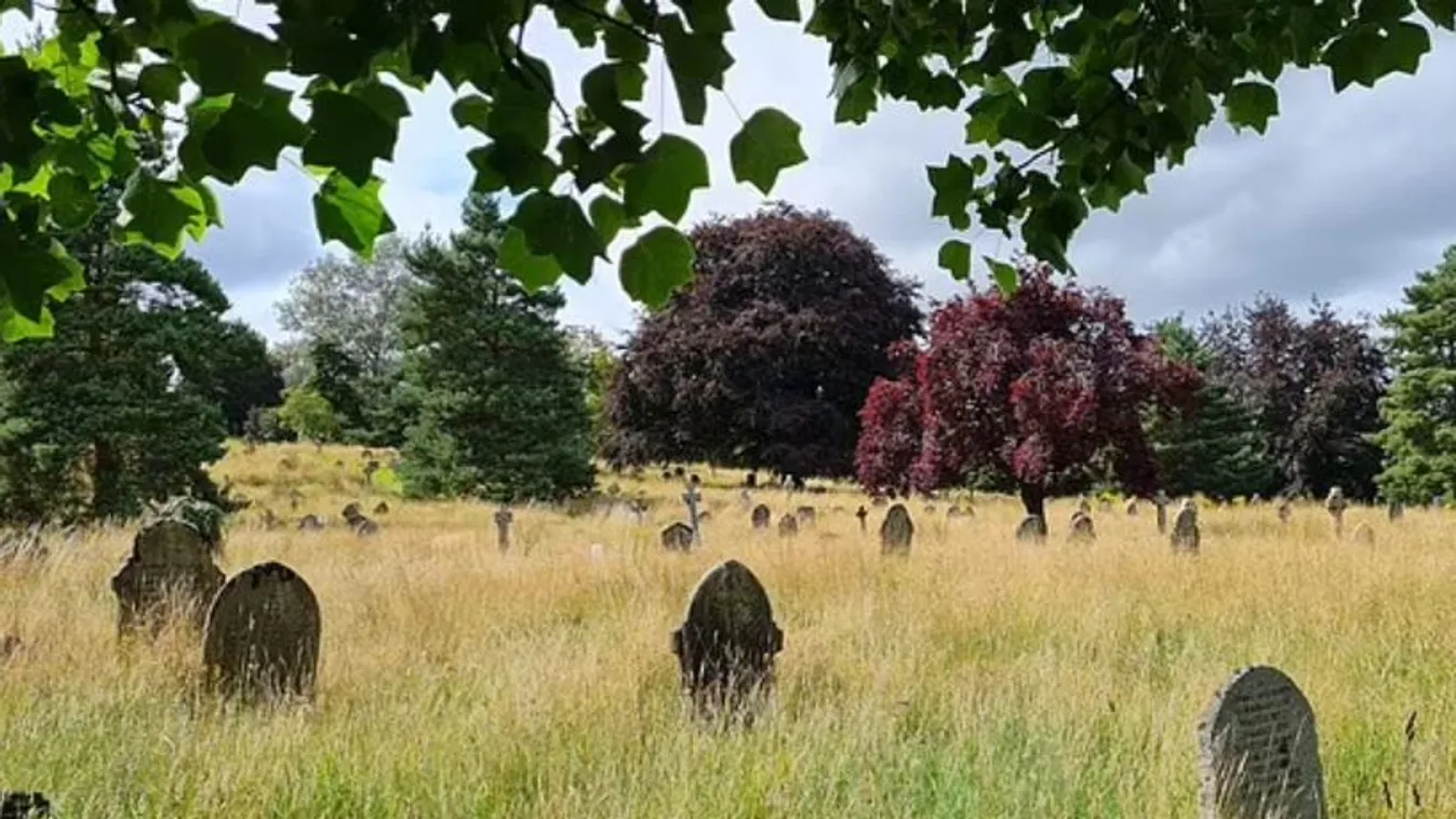 Lépni sem lehet a gaztól a temetőben
