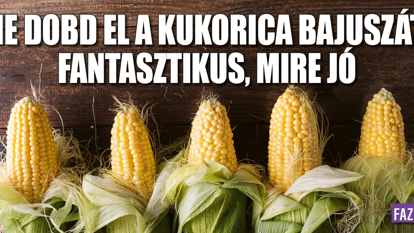 Ne dobd el a kukorica bajuszát, fantasztikus, mire jó