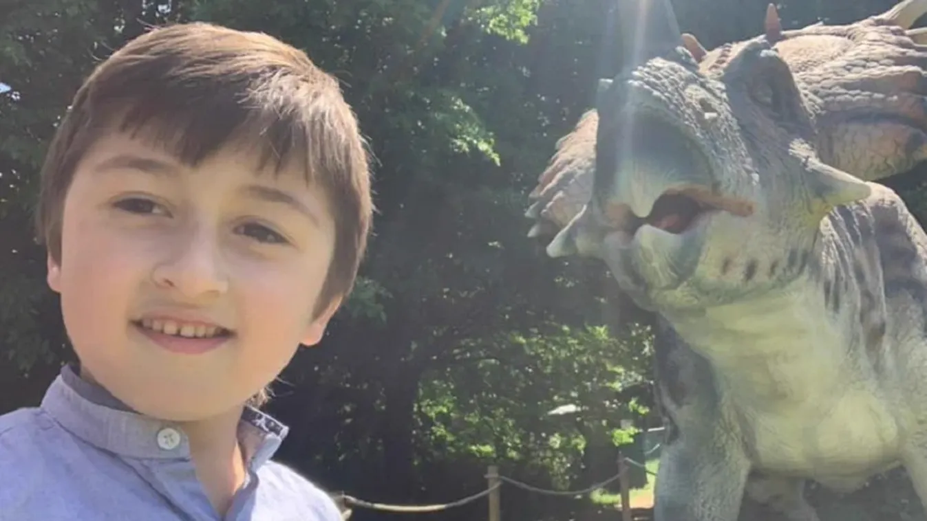 Lefotózták az 5 éves Robint, öt perc múlva elhunyt