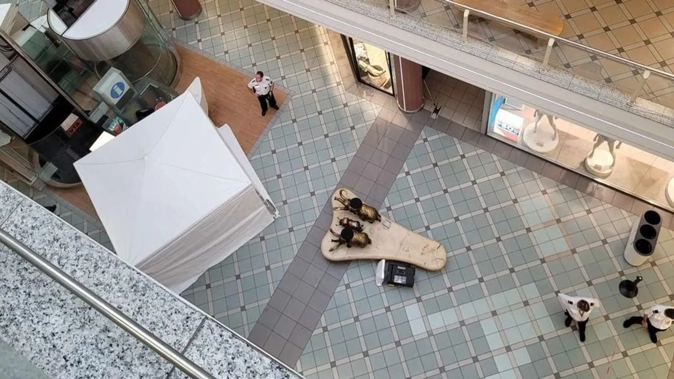 Elátkozott helyre épülhetett a Mammut? – Videó