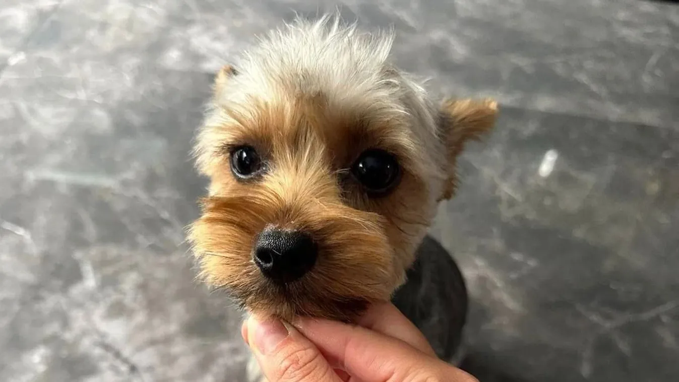 Heti top 5 cikk, a legolvasottabbak a héten