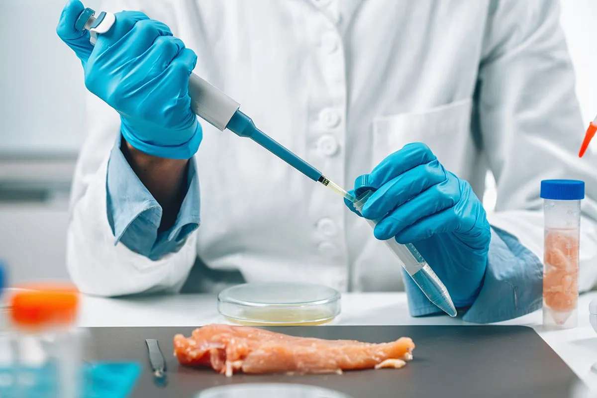 Food,Safety,And,Quality,Assessment.,Microbiologist,Testing,Poultry,Sample,For