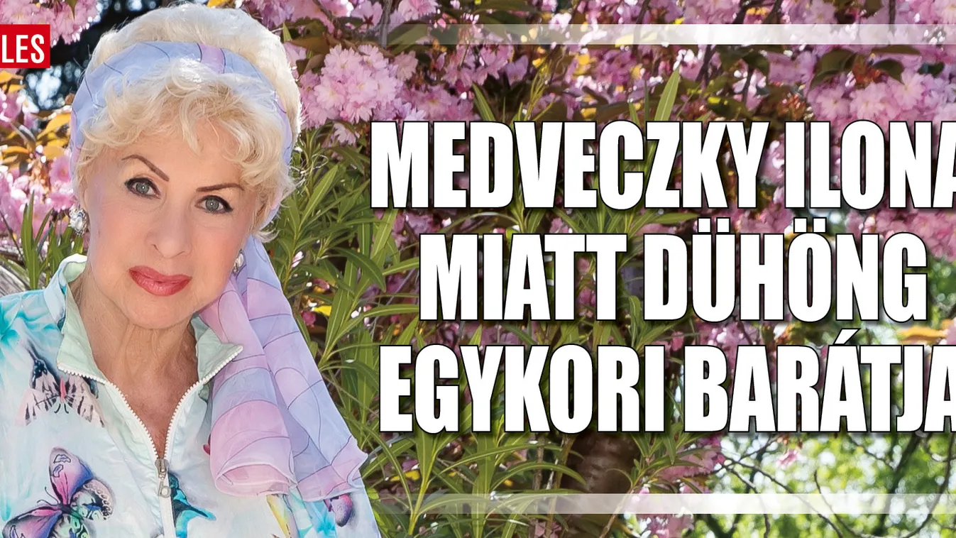 Egykori barátja teregette ki a szennyest Medveczky Ilonáról