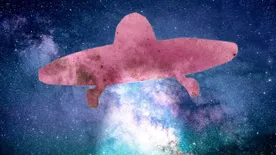 Kizárásos alapon csak UFO lehetett a Vácon észlelt jelenség?