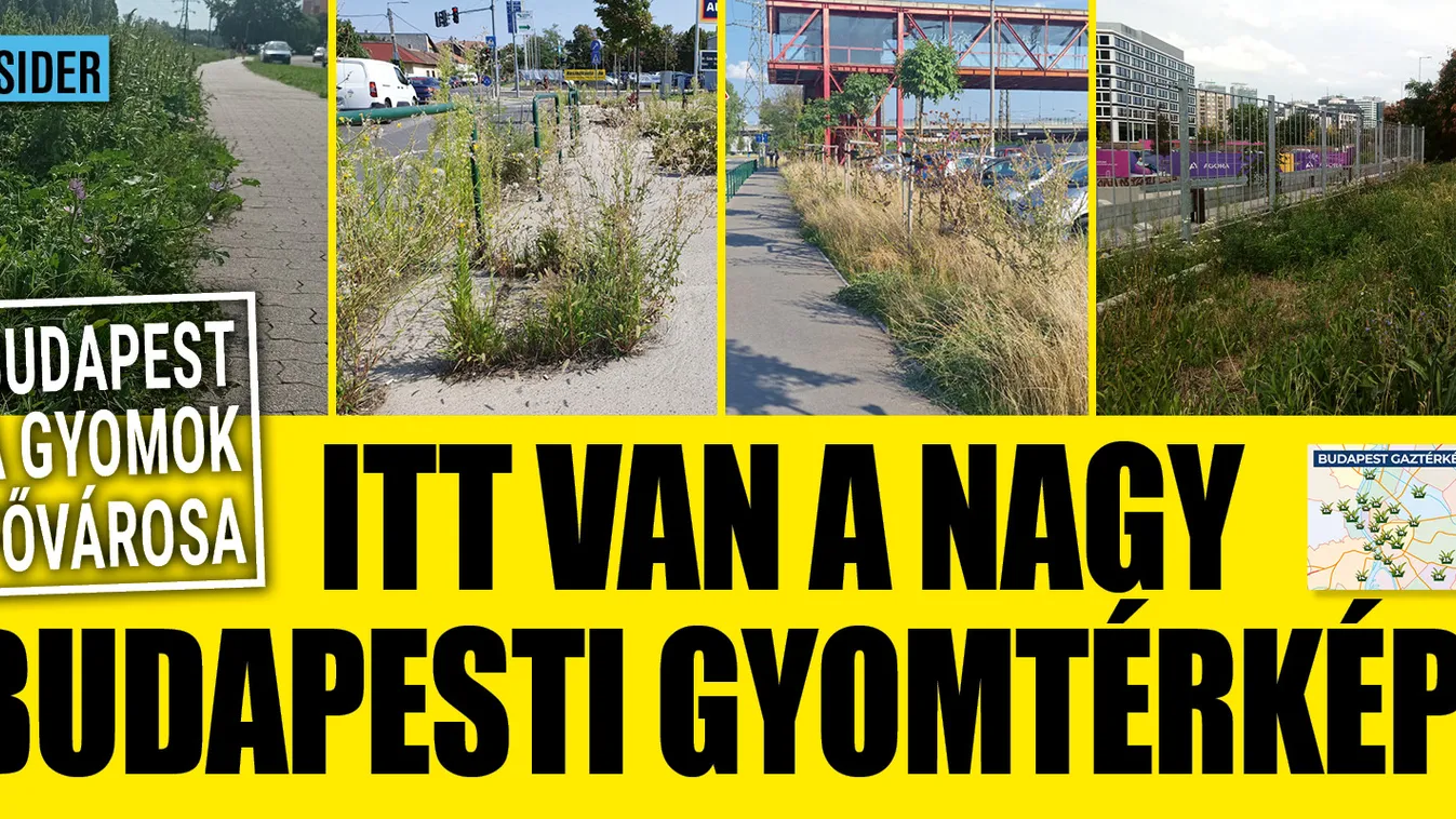 Budapesti gyomtérkép: Téged melyik helyszín zavar legjobban?