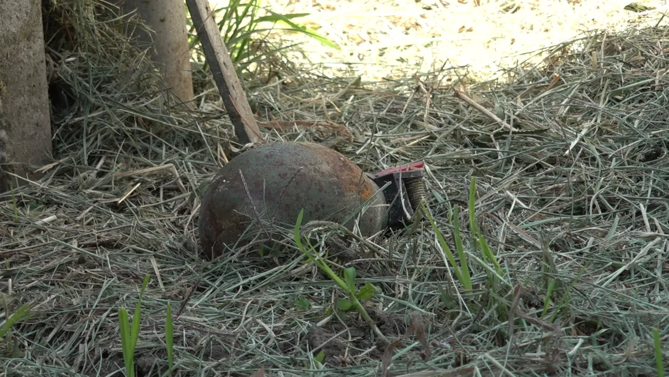 Kézigránátot robbantottak a migránsok egy családi ház előtt