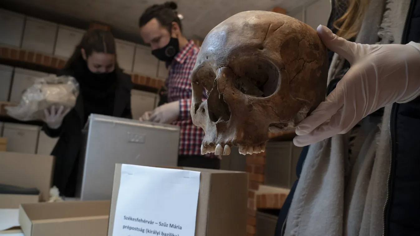 Már csak egy lépés, és megvan Mátyás koponyája