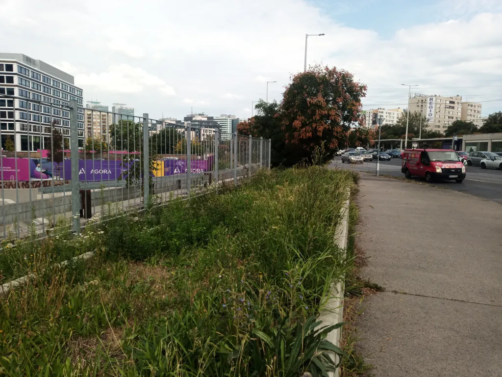 gyom, gaz, fotópályázat