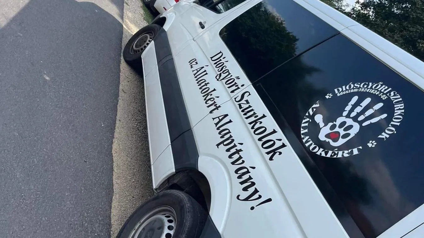 Fagyasztóban tárolta a kutyatetemeket egy szaporító