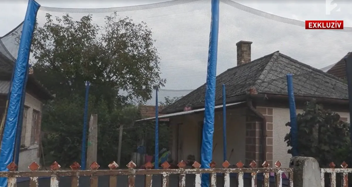 Szabolcs-Szatmár-Bereg vármegye, Buj, megfulladt kislány, Melissza, TV2 videó