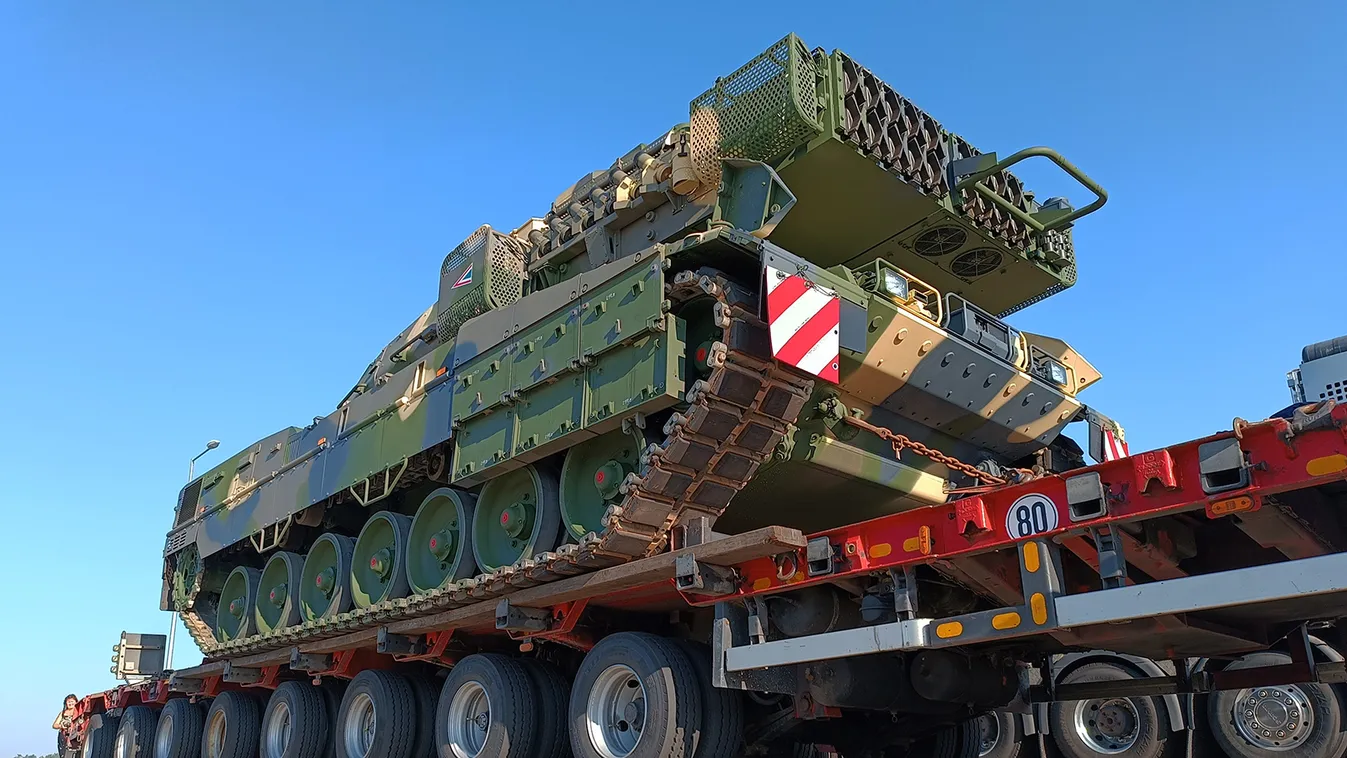 Mi lesz a Kárpátok nagymacskája?