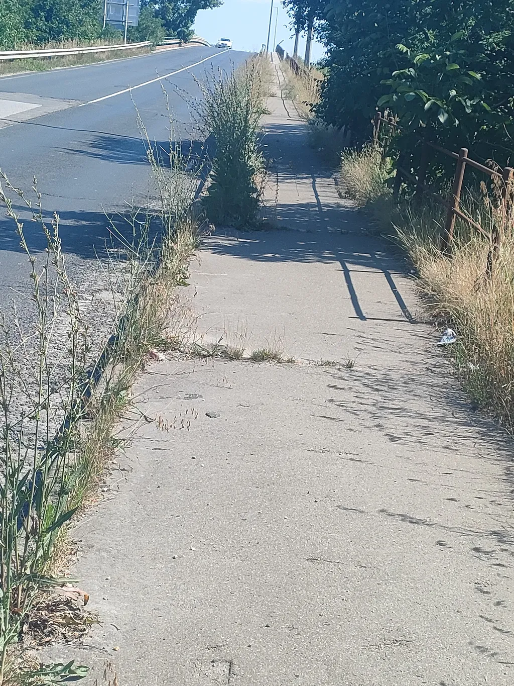 gyom, gaz, fotópályázat