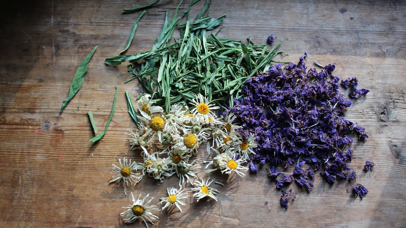 Durván visszaélnek a bükki füvesember nevével