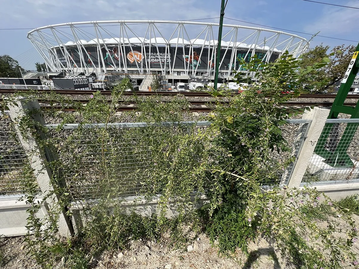 gaz, gyom, atlétikai stadion