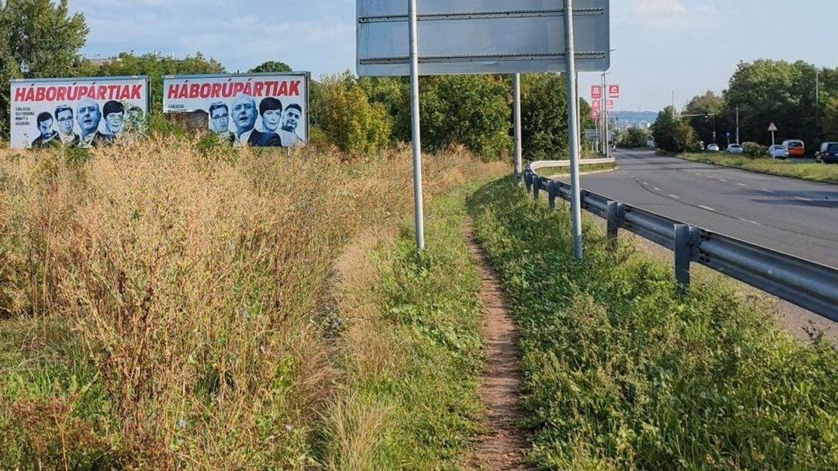 Elképesztő! Ilyen csúnya gyomokat még nem láttál! – Videó!