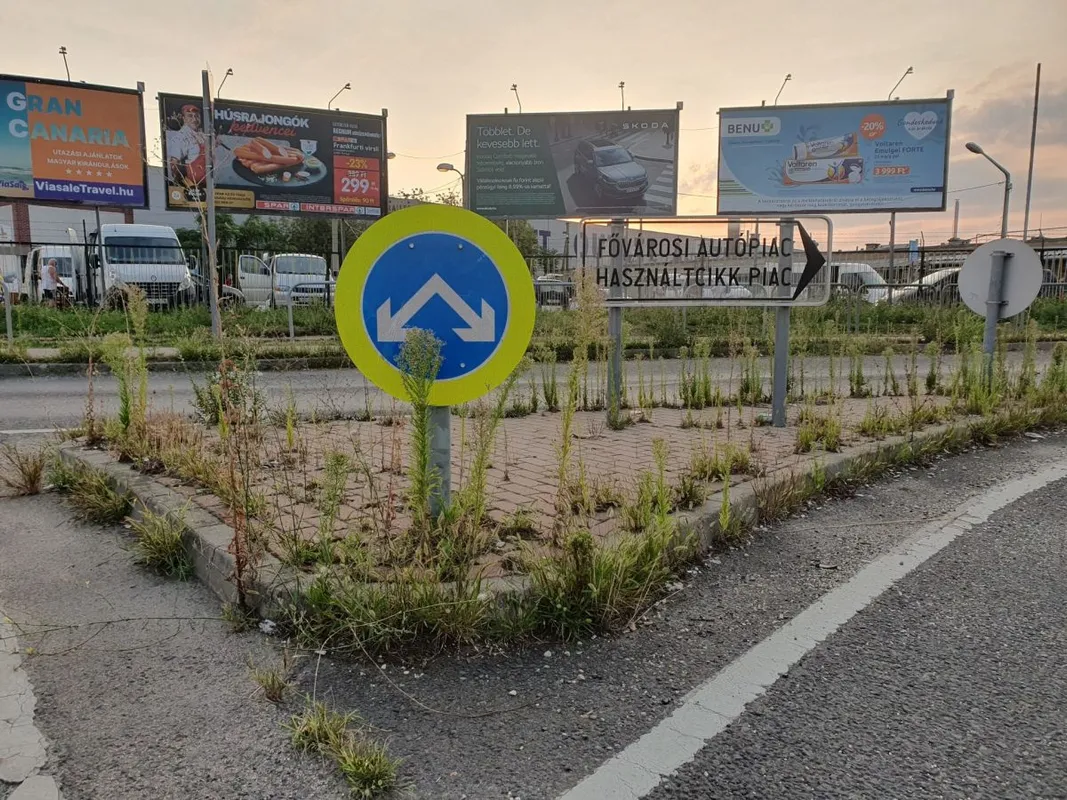 gyom, gaz, fotópályázat,