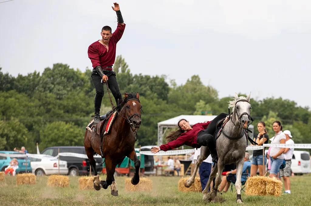 Az erdélyi Farkaslakai lovas kaszkadőrök bemutatója