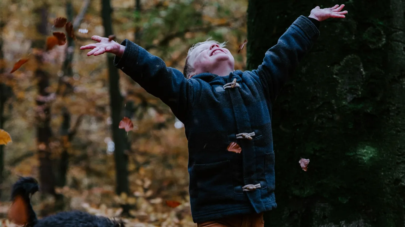 Jószívű ismeretlen váltotta valóra egy kisfiú álmát