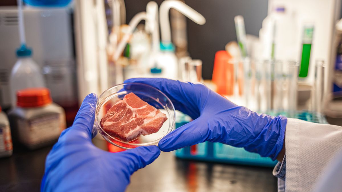 Killer bacteria in chicken meat: 27 people got sick
