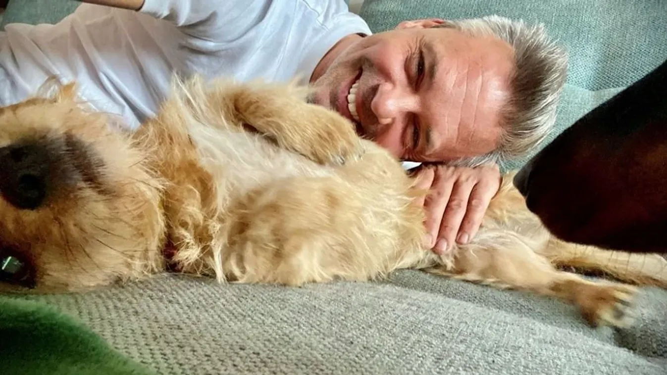 Egyél pizzát és segíts az árva kutyáknak gazdára találni!