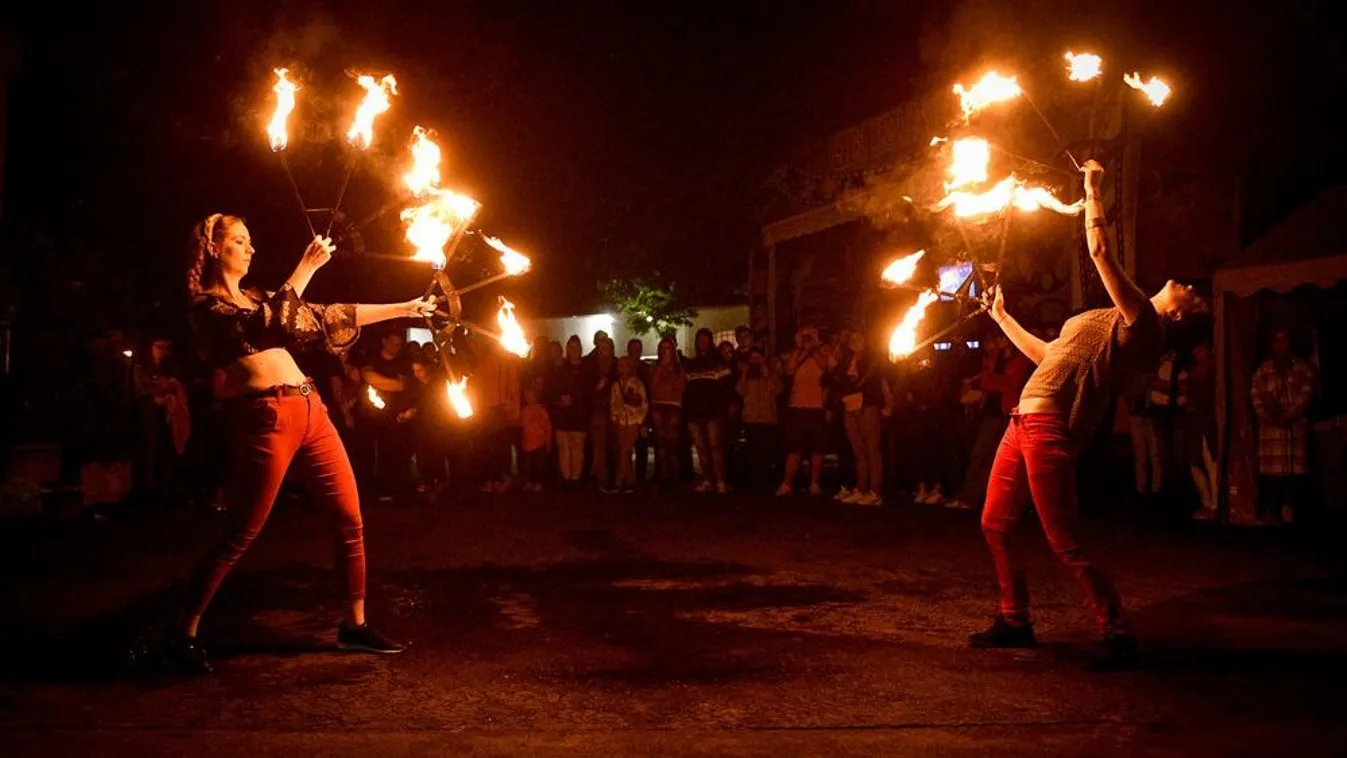 Idén is lesz állatkertek éjszakája, íme a programok