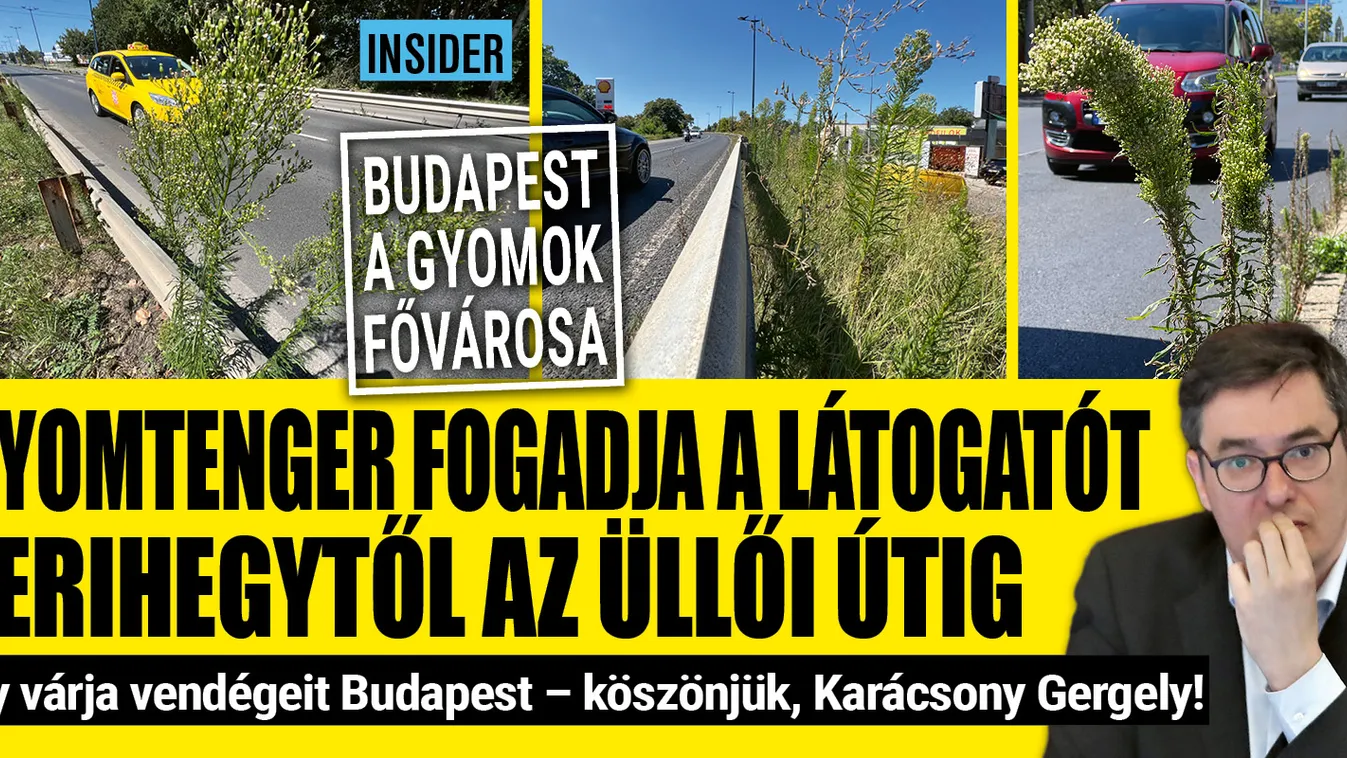 Gyomtenger fogadja a látogatót Ferihegytől az Üllői útig