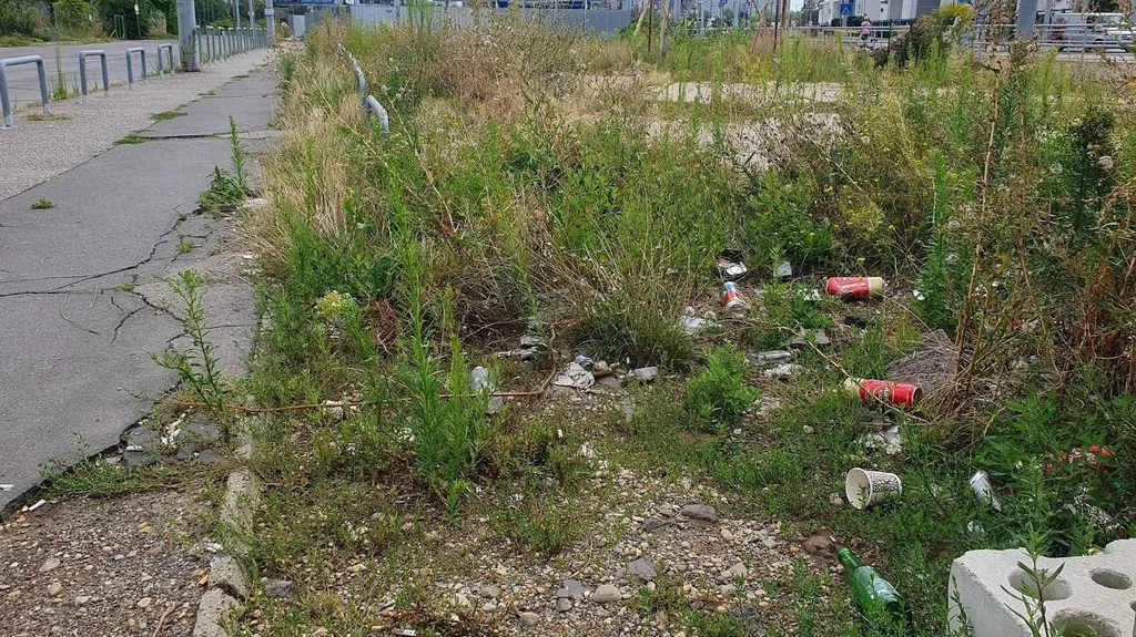 gyom, gaz, fotópályázat, műanyag palack, szemét, betétdíj