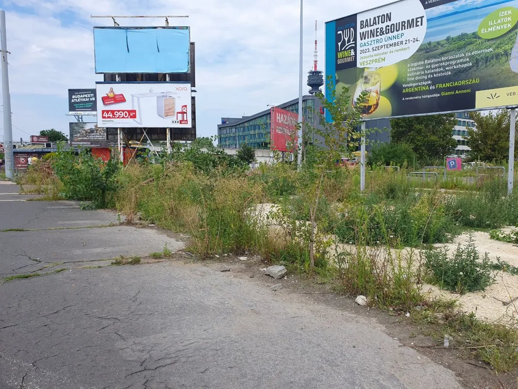 gyom, gaz, fotópályázat,