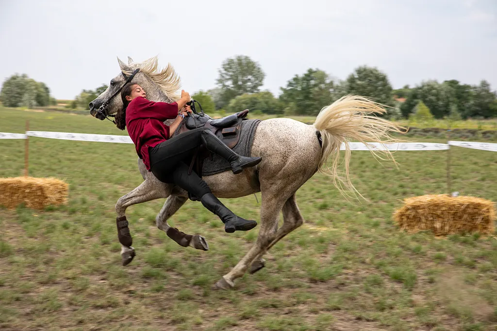 Az erdélyi Farkaslakai lovas kaszkadőrök bemutatója