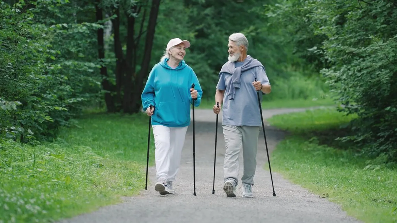 Ekkor lesz a következő szervezett séta a fővárosban élőknek