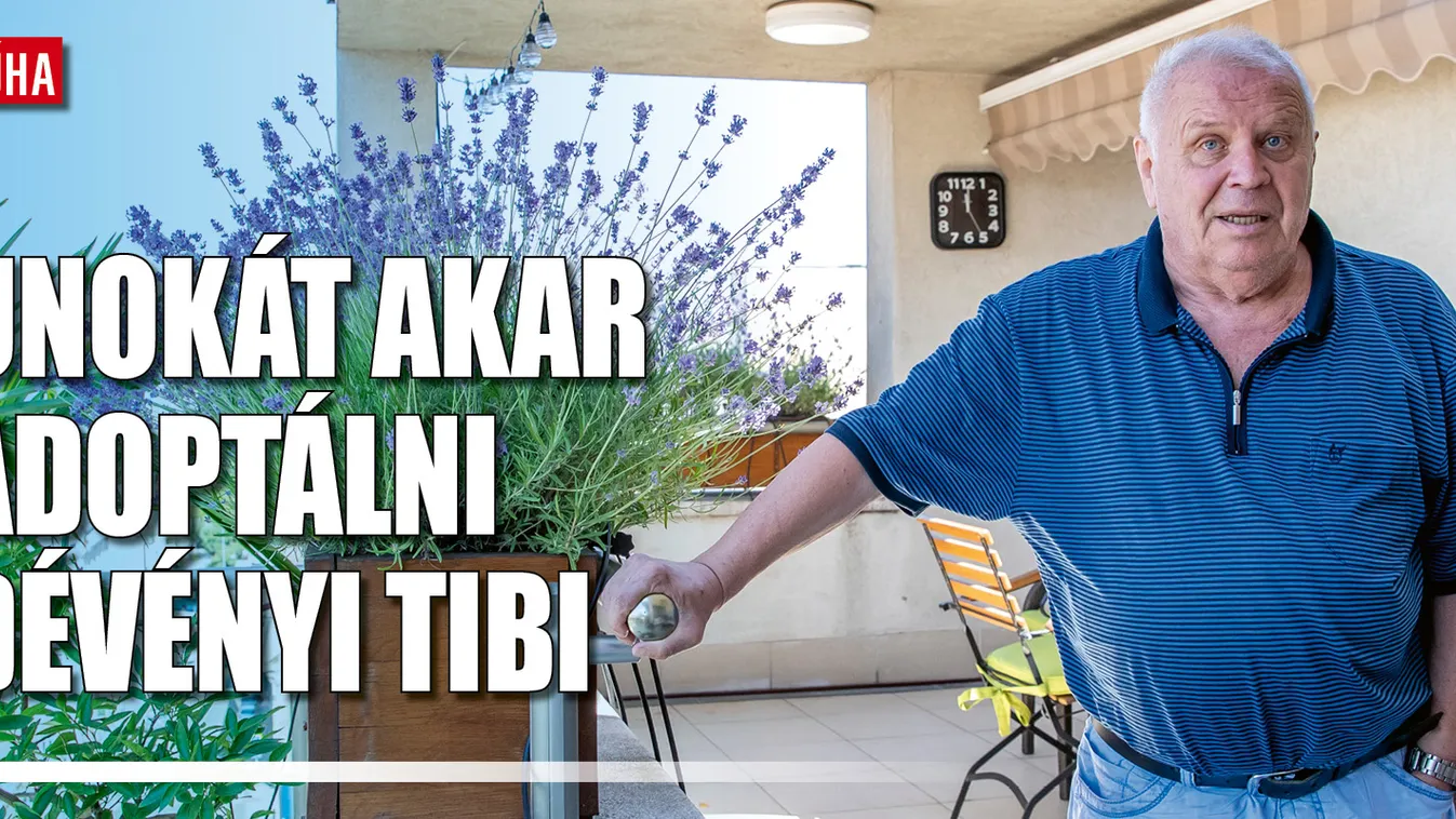 Dévényi Tibor örökbe fogadna egy 25 éves nőt