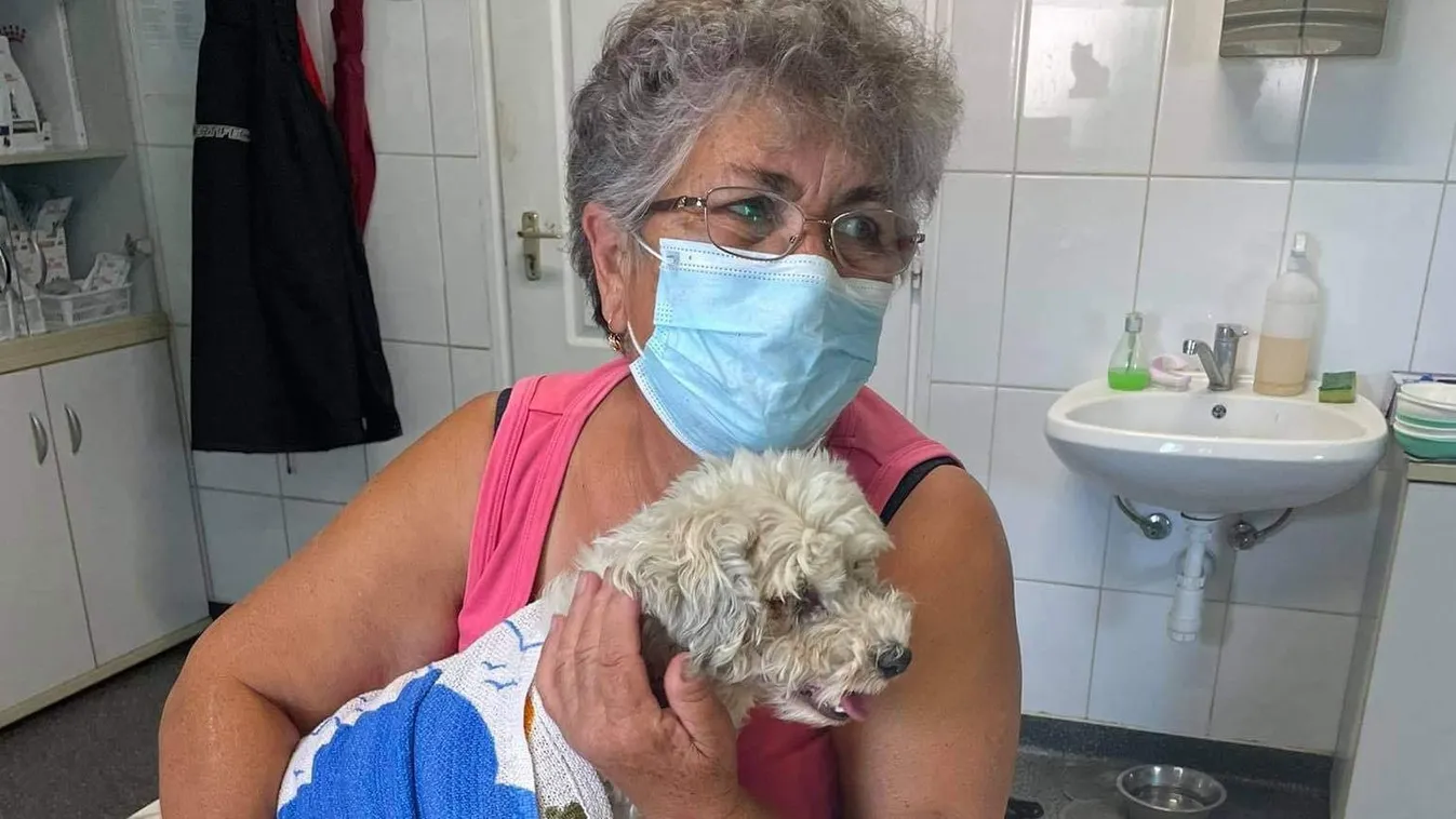 Megtalálták a 78 éves Erzsike néni elveszett kutyáját