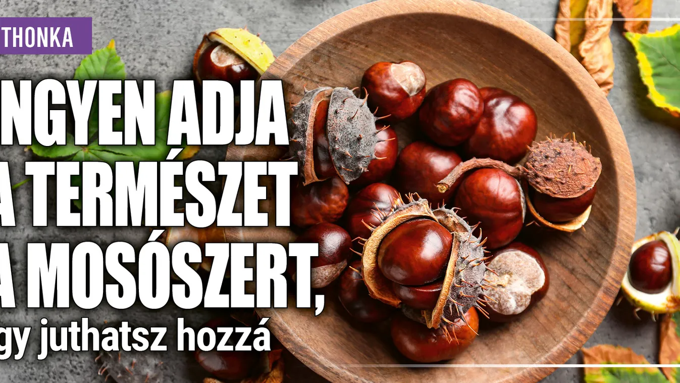 Ingyen adja a természet a mosószert, így juthatsz hozzá