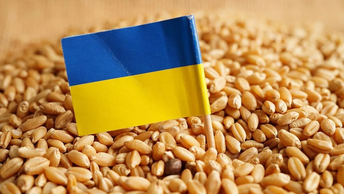 Századvég: a magyarok nem kérnek az ellenőrizetlen gabonából