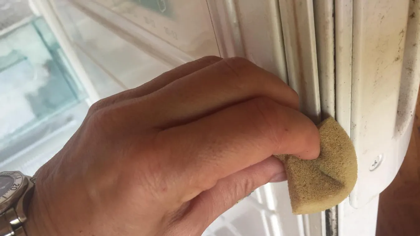 Így szabadulhatsz meg a penésztől a hűtődben