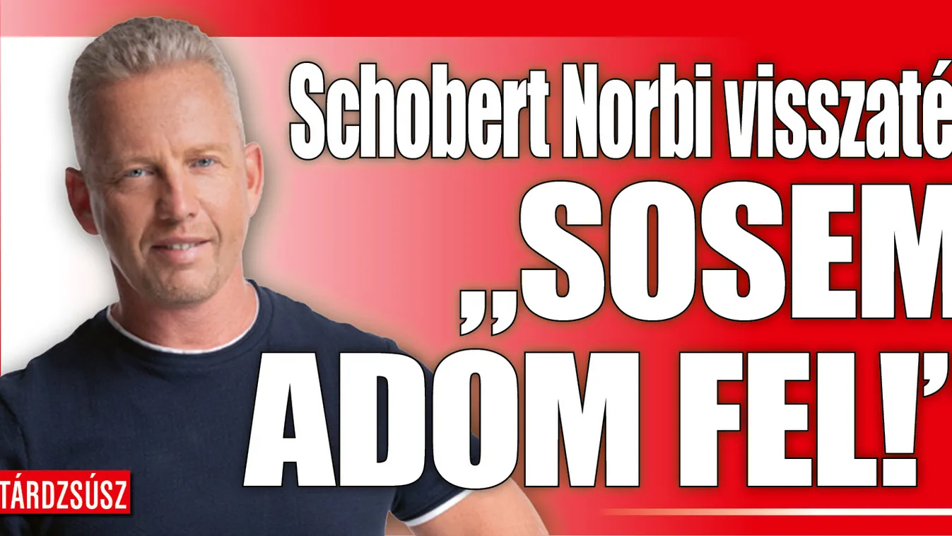 Schobert Norbi visszatér az edzősködéshez