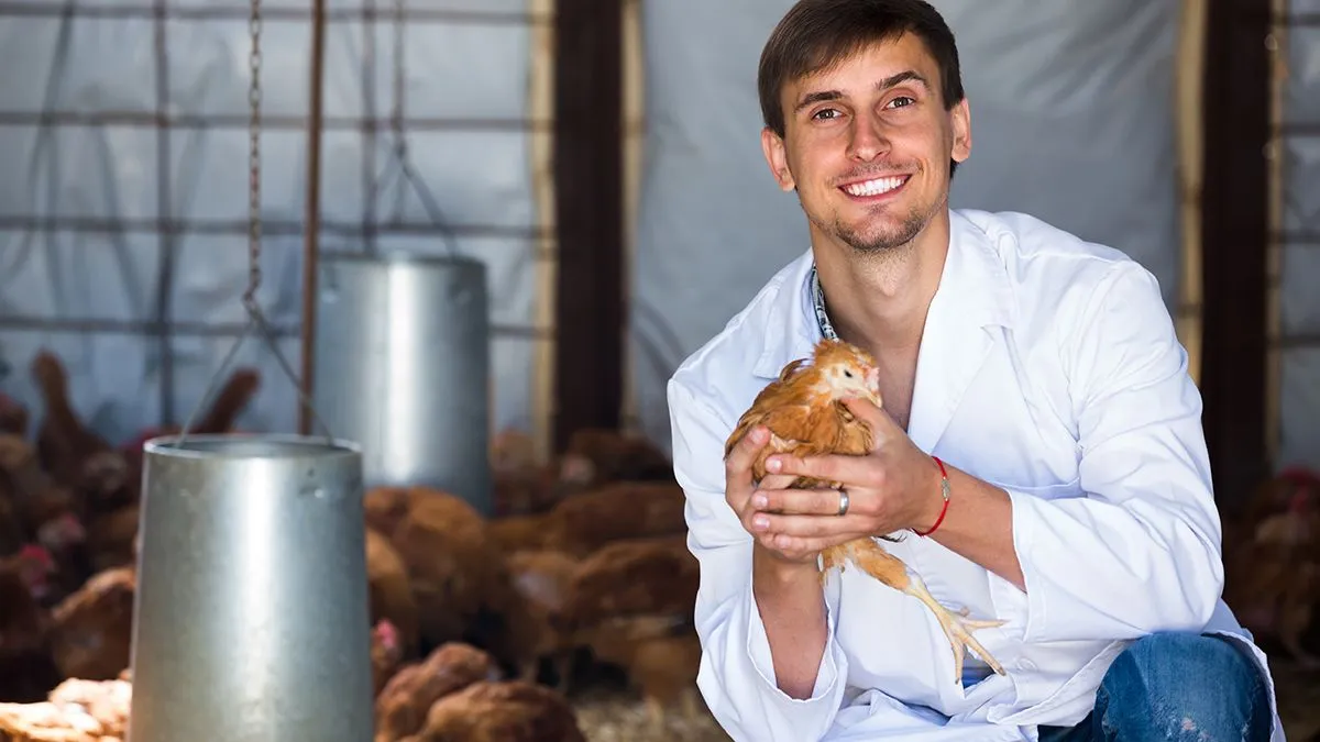 Joyful,Smiling,Young,Male,Vet,In,White,Coat,Having,Chicken