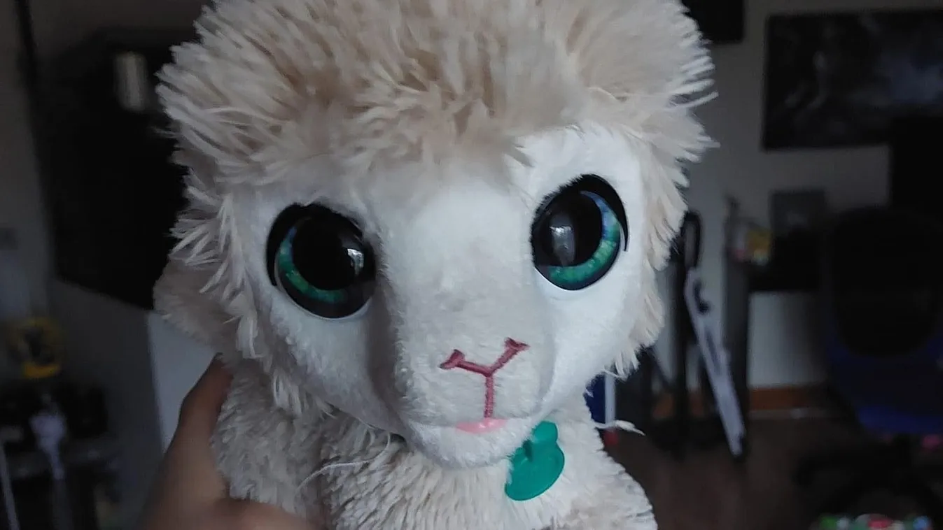  Hajnali háromkor magától szólalt meg egy plüssláma