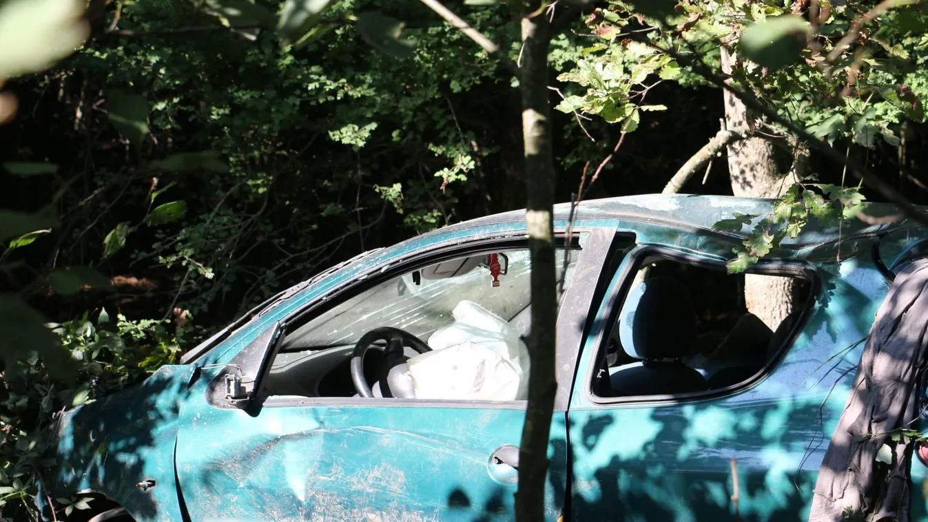 Fának ütközve lehelte ki a lelkét Somogyban a hölgy