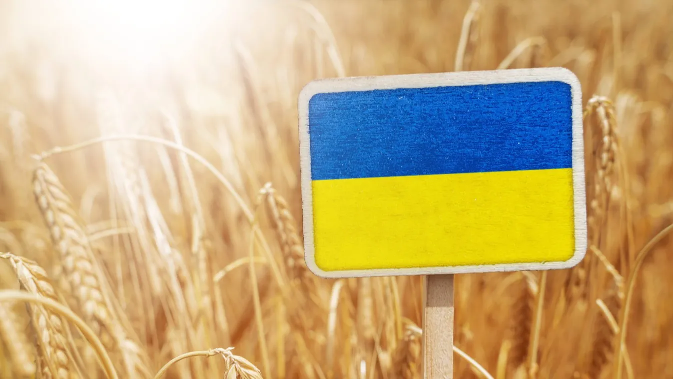 Holnap lejár az EU ukrán gabonára vonatkozó behozatali tilalma
