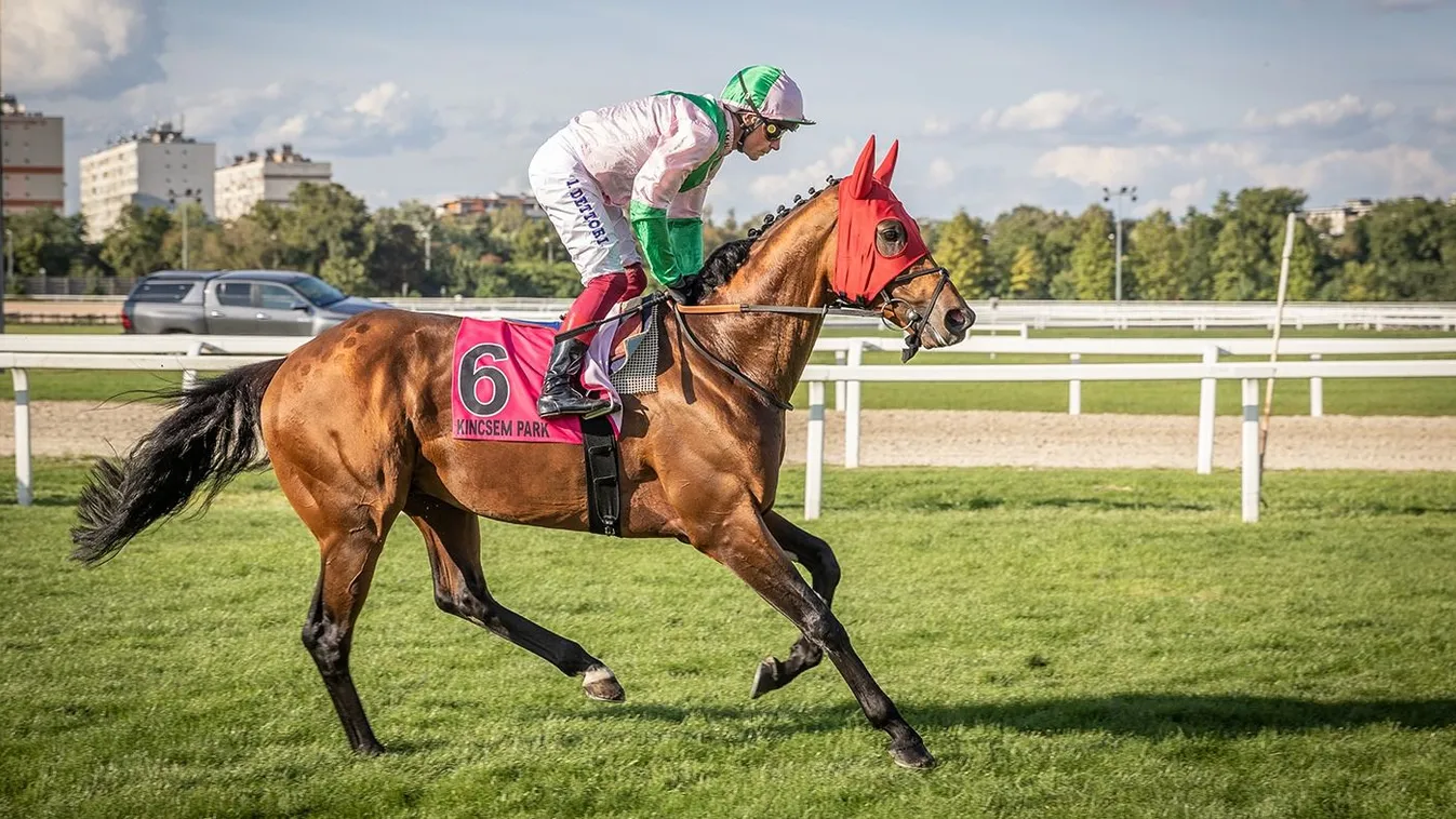 Futamok, díjátadók és elképesztő hangulat a Kincsem Parkban