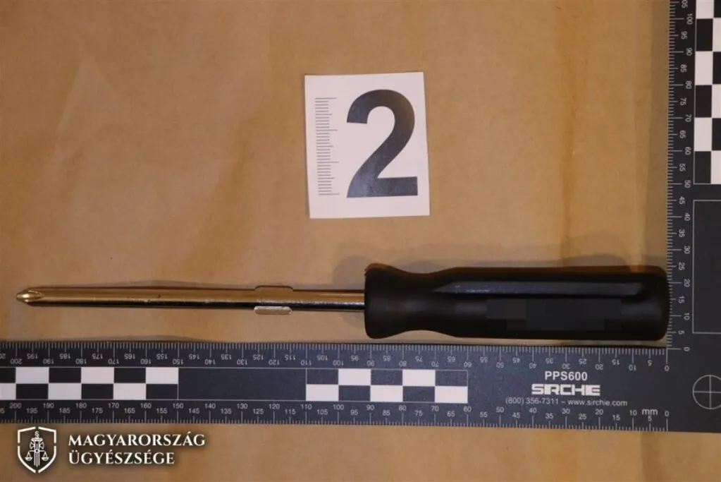 csavarhúzó, bűntárgy