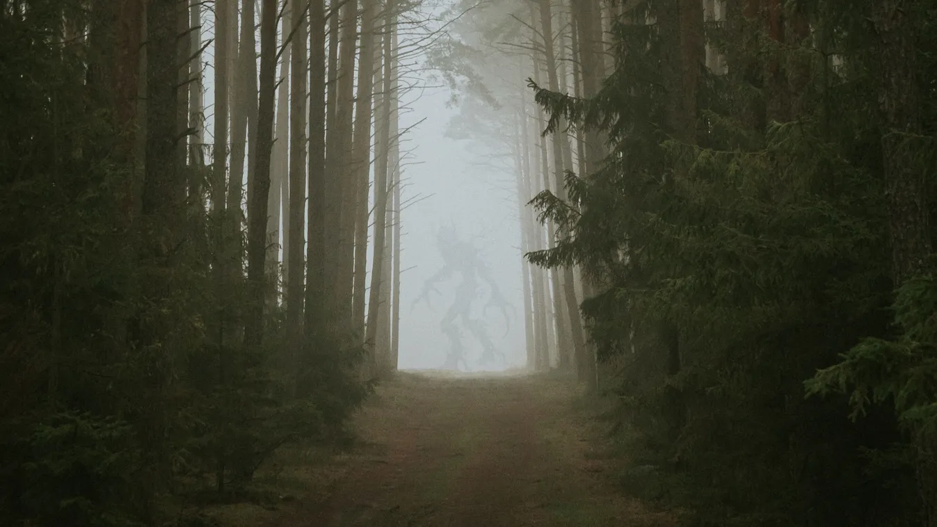 Megdöbbentő kérdést tett fel a szakértő a Bigfootról