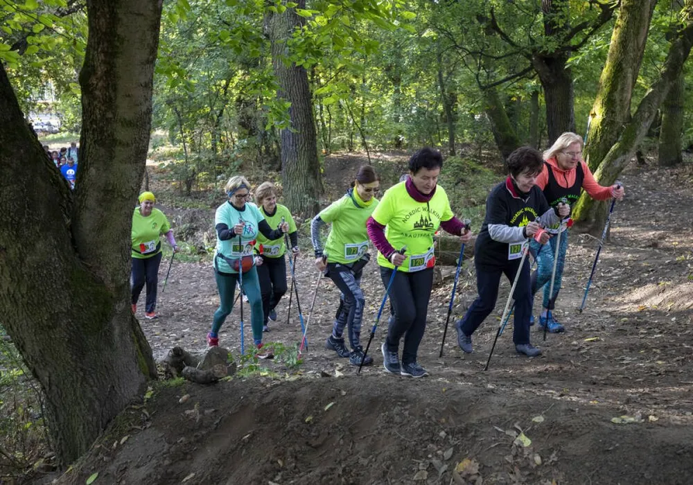 séta, sétál, nordic walking, idős, sport