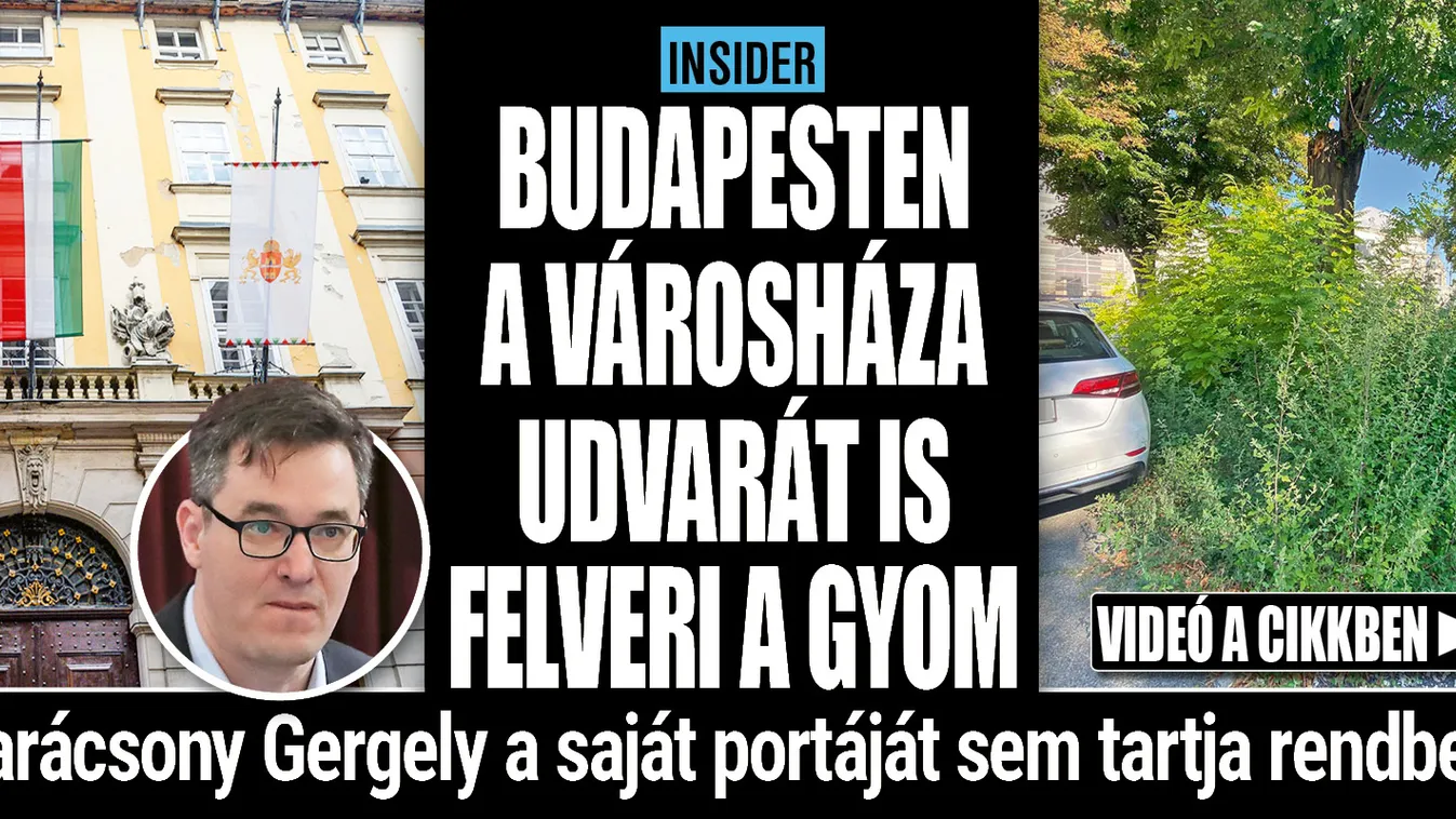 Még a Városháza udvarát is felveri a gyom!