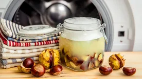 Ingyen adja a természet a mosószert, így juthatsz hozzá