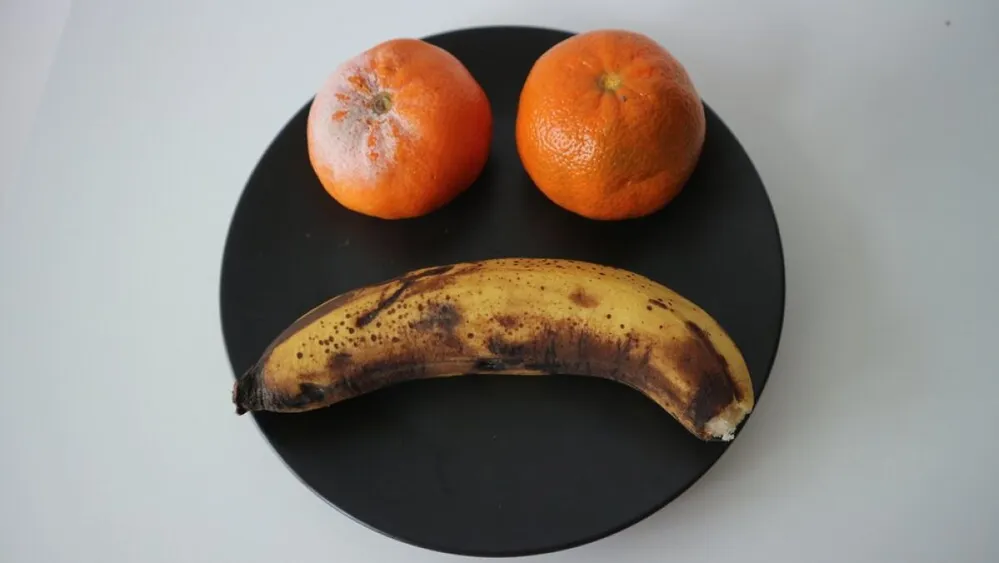 rothadó gyümölcsökön szaporodnak a muslicák